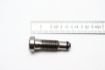 Picture of 1x Titanium Bolt in Valve for BBS RS2 & Jaguar Wheels